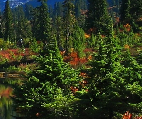 北京神州普惠科技股份有限公司上海公司