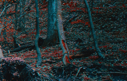 湖南建东科技有限公司电话