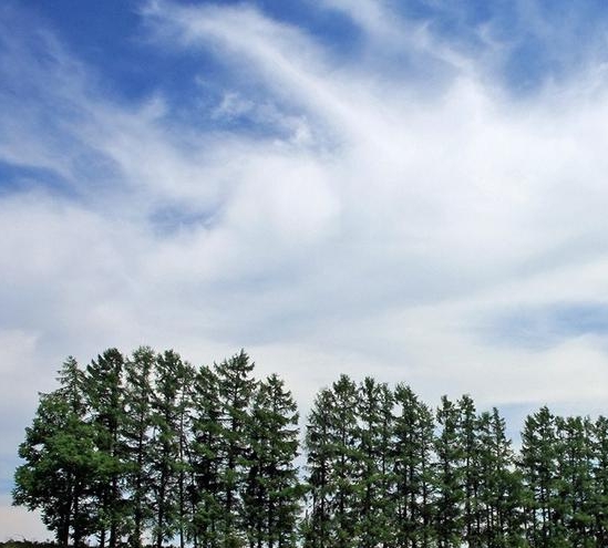 西安人眼里西建大