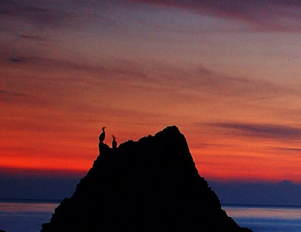 1988我想和这个世界谈谈的作者是