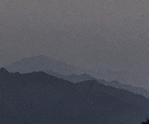 世界上最大的草莓有多大