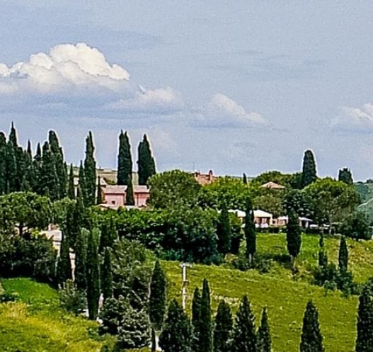 魔兽世界插件排行榜