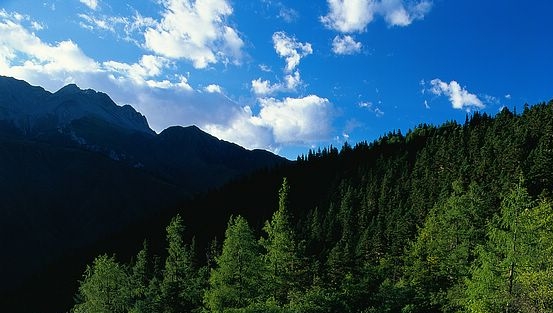 天津天地伟业数码科技有限公司迈向上市，开创科技产业新篇章