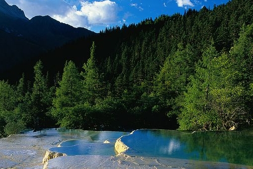 宁夏科技厅网站科技动态