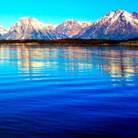 世界杯冠军数量排名球员