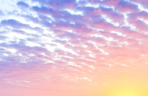 世界上最长的屎