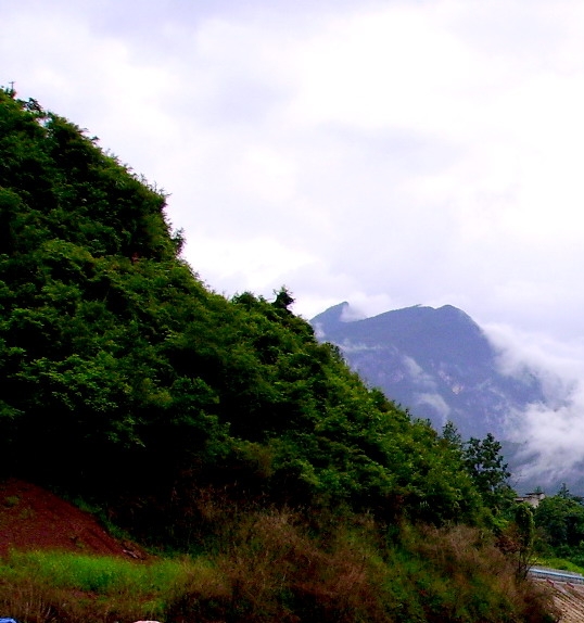 完美世界之一念遮天