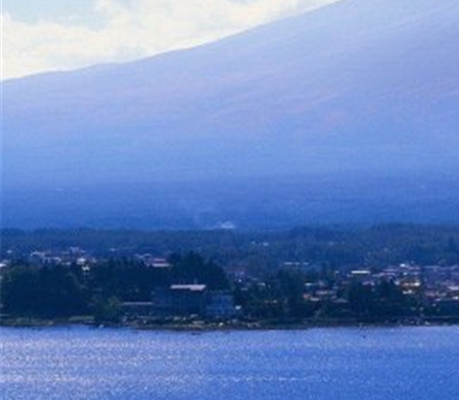 天然木皮和科技木皮怎么区分