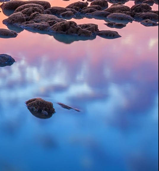 苏州易德龙公司怎么样