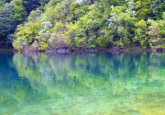 浙江省科技厅1年多少普通项目