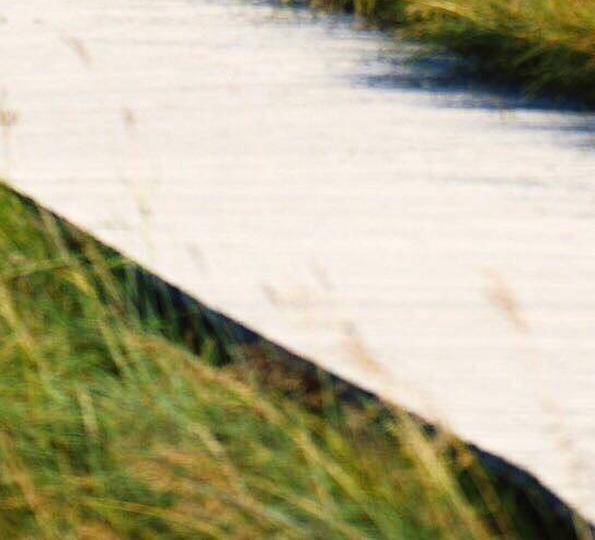 世界四大文明古国唯一没有中断其文化历史的民族是