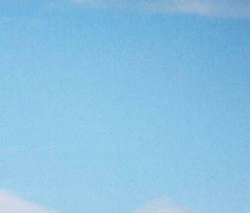 世界蜜蜂日：关爱小蜜蜂，守护地球生态，每年的5月20日都在为它们庆祝