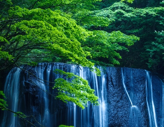 魔兽世界怀旧服dbm语音