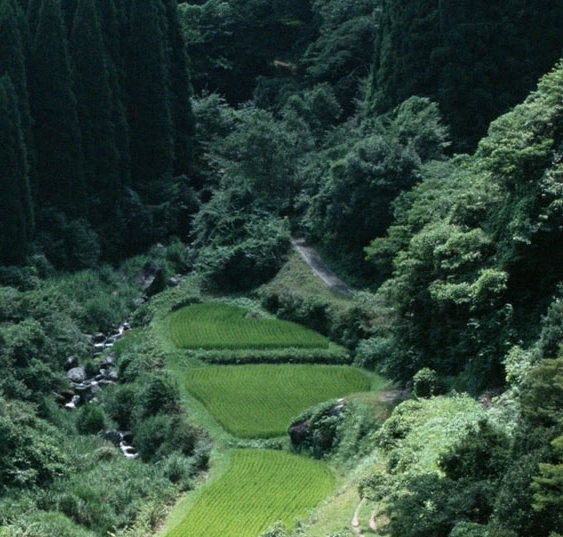 联化科技是国企吗