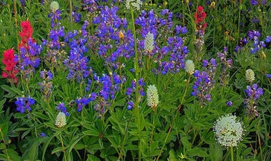 肇庆市科技中等职业学校是公办还是民办