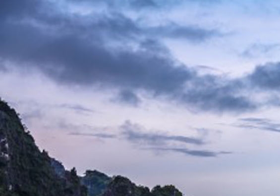 木鱼100倍掉落生存