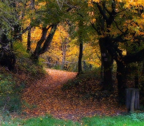 武汉市科技局官网