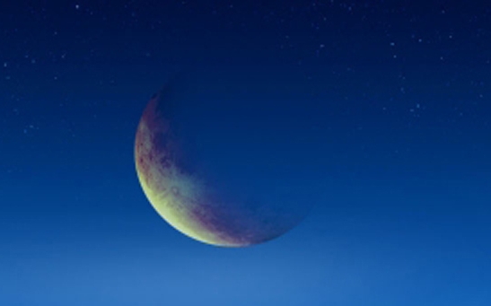 世界上最大的蜈蚣有多大图片