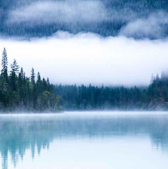 毕得医药试剂官网