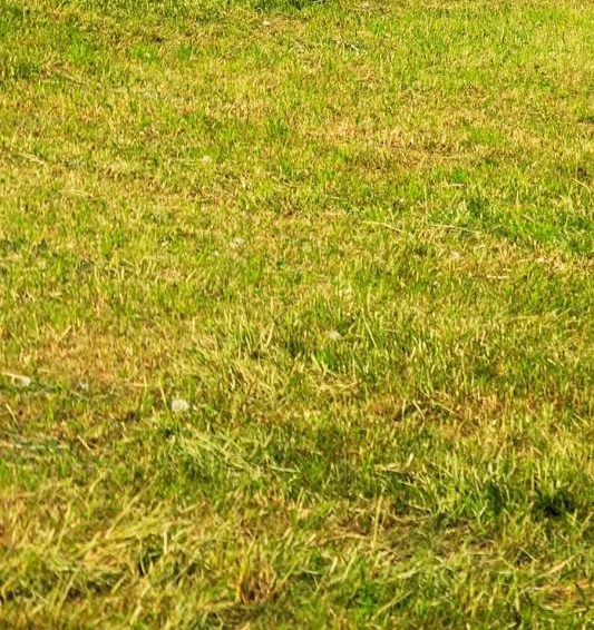 华中科技大学人工智能与自动化学院刘洋