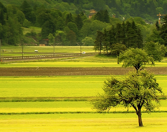 生物医学专业世界大学排名榜