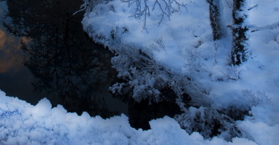 金斯瑞生物科技股份有限公司招聘