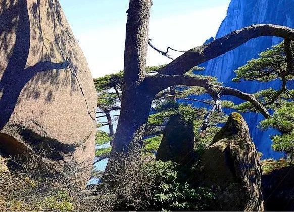 湖南科技大学贴吧湘钢