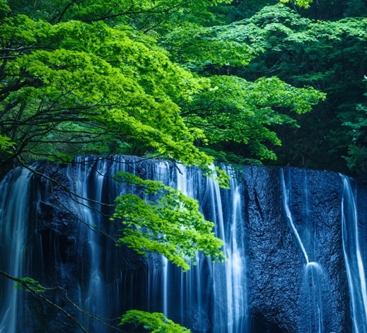 科技书籍：探索未来世界的引擎，驾驭智能时代的指南针
