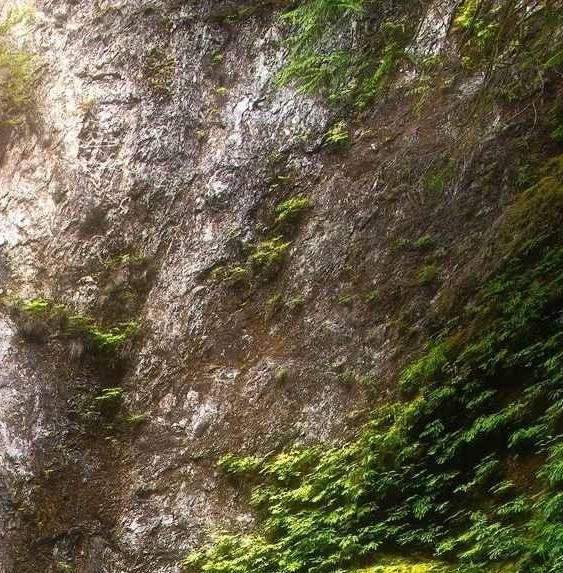 武汉科技大学黄家湖校区详细地址