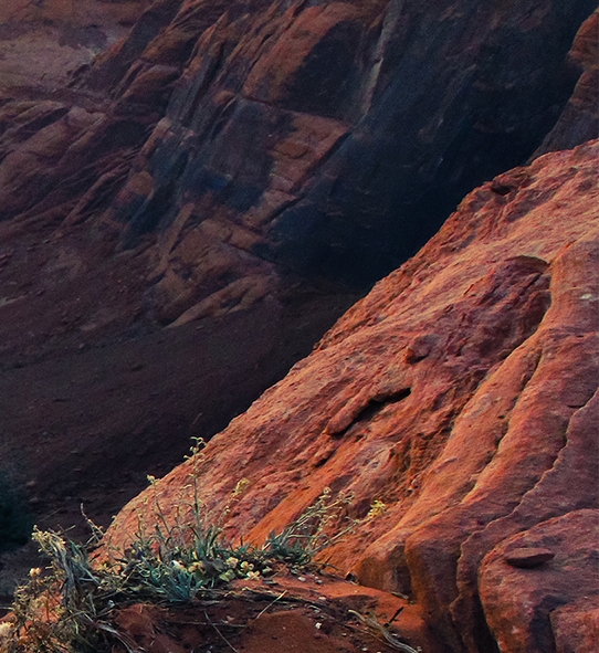 科技探宝王无错版下载