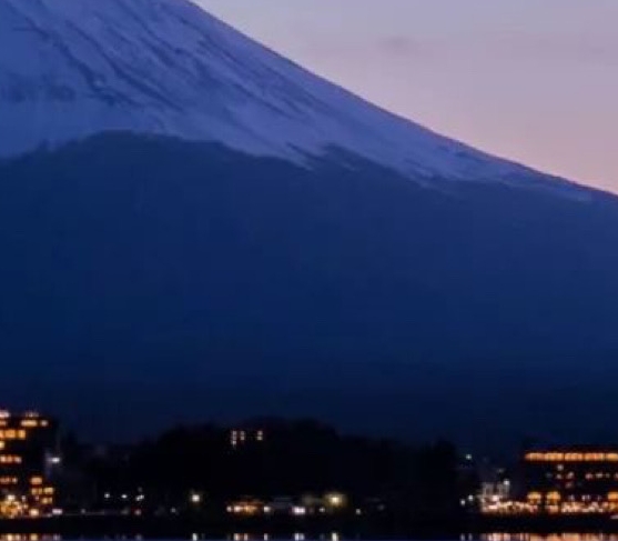 世界旅游组织的总部设在