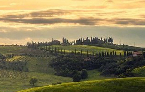 嗜血印创意工坊订阅了没有用