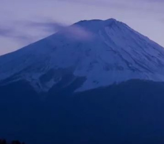 全世界最好的庄延免费阅读无防盗