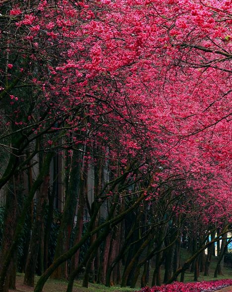 香港科技大学广州校区研究生学费