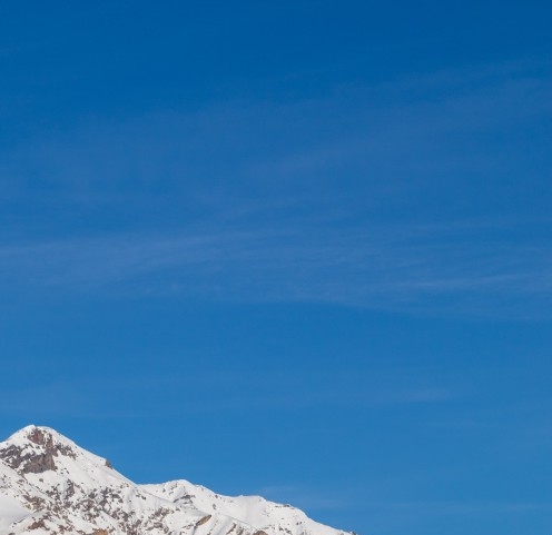 动物世界电影豆瓣