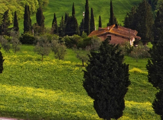 大唐之科技强国免费