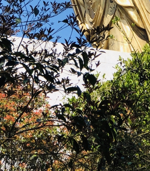 青岛恒星科技学院官网自荐专升本