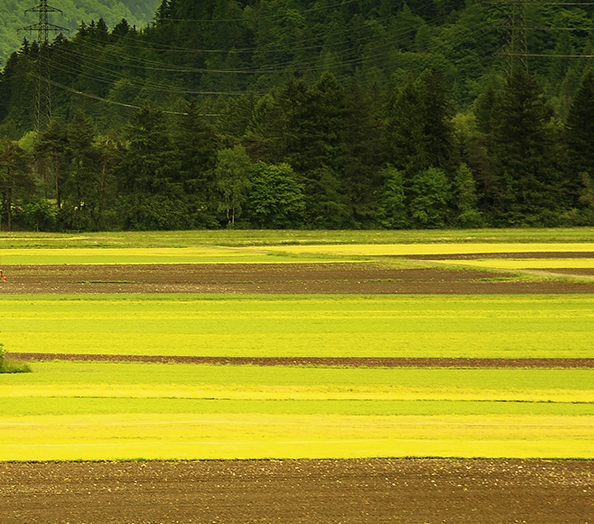 中核科技股票代码