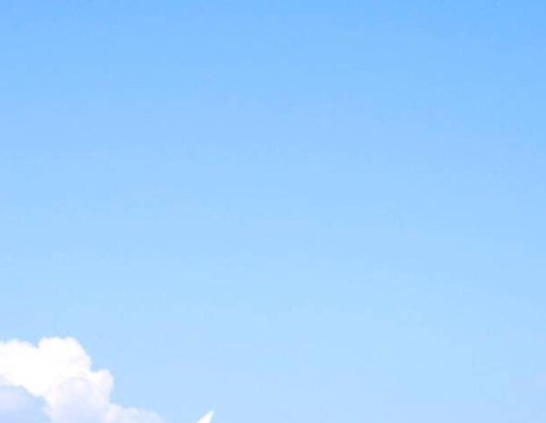 世界警察运动会