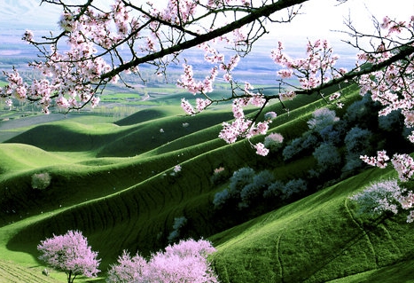 教师的核心素养