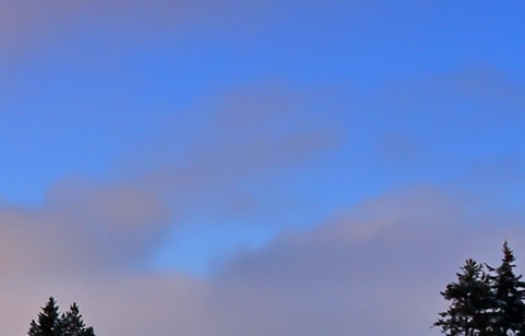 世界最贵的手机图片