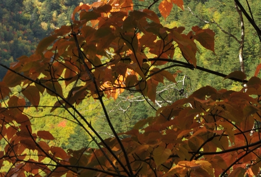 科幻世界杂志官网