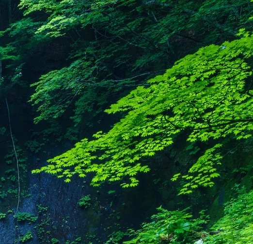 坪山连展厂是做什么的
