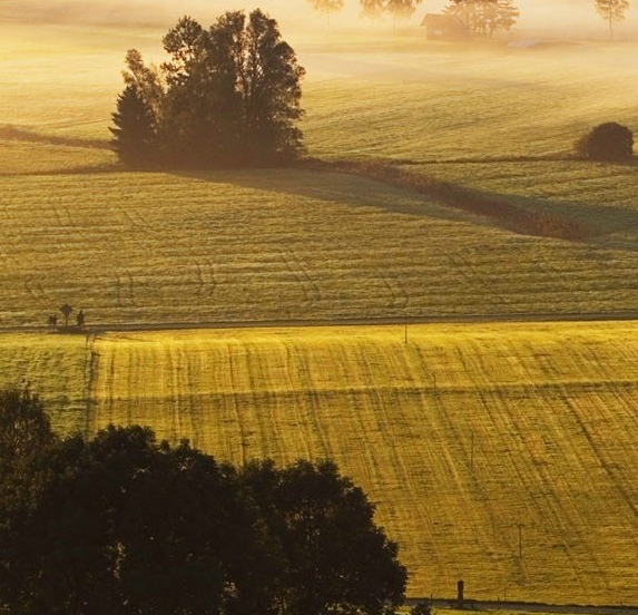 潍坊科技大学分数线