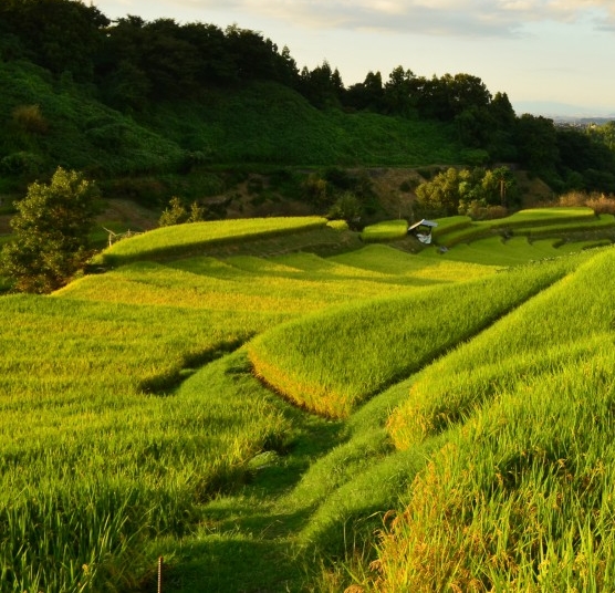 世界手表排名前一百名