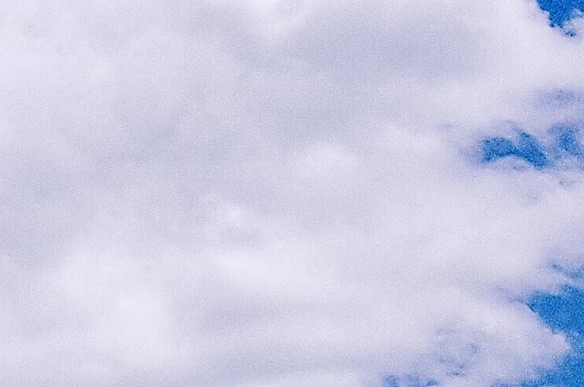 在线世界杯直播