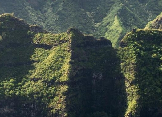 采联集团工作怎么样