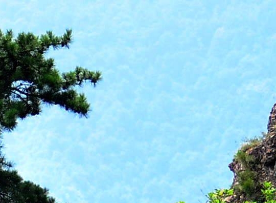 江西科技学院校长