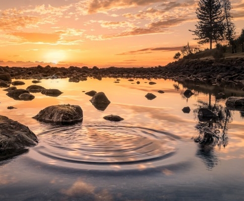 德州科技职业学院