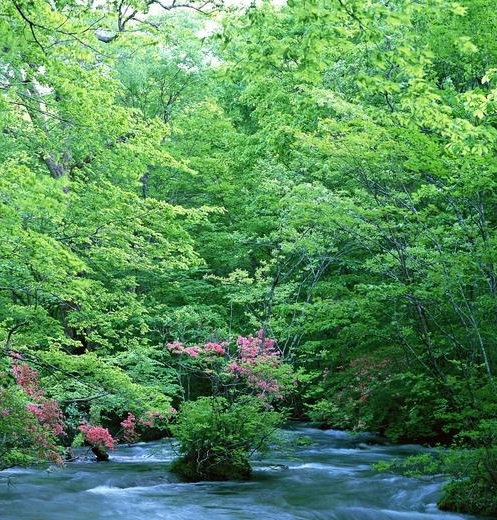 科技博览：揭秘无癌之村，科技助力我村远离癌症困扰